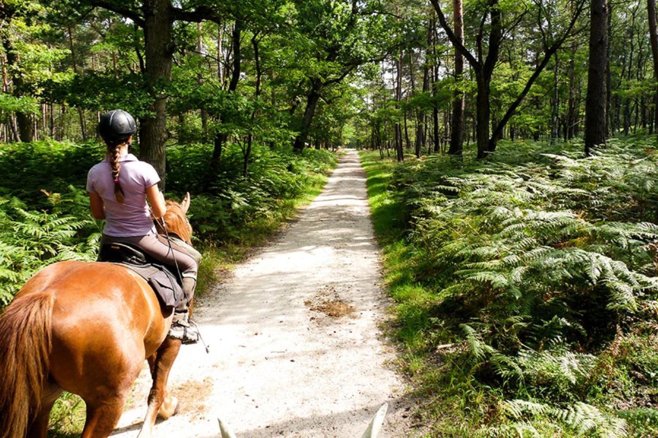 Millygite Roulotte - 4 Seasons Chalet-On-Wheels Luaran gambar
